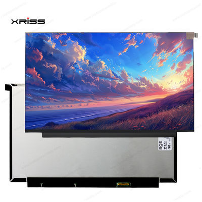 品質  13.3 Inch Touch Screen For Lenovo ThinkBook 13x ITG Notebook PC Digitizer Assembly Replacement 工場